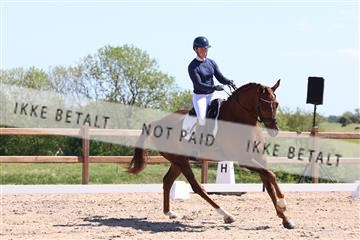 181449_bc_01R62_5652.JPG