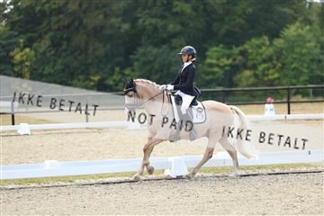 181894_mtp_02_R62_1669.JPG