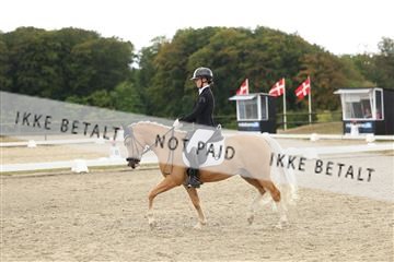 181894_mtp_03_R62_2515.JPG