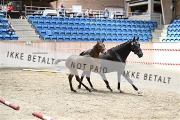 181754_kbb_01_Z093855.JPG