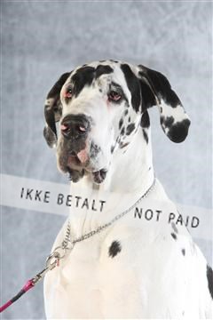 129608_le_ 02_0310.JPG