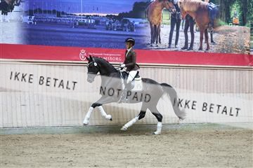 181887_mtp_04_R62_8698.JPG
