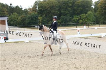 181894_mtp_02_R62_1655.JPG