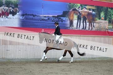181887_mtp_02_R62_7414.JPG