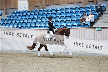 181887_mtp_04_R62_8349.JPG