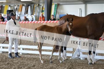 181756_mtp_03_R62_2481.JPG