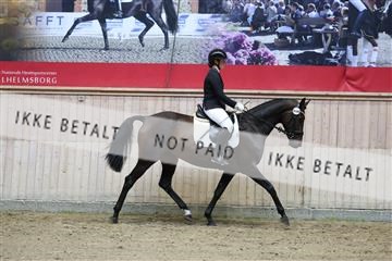 181887_mtp_04_R62_8534.JPG
