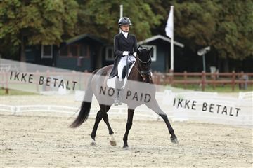 181923_mtp_03_R62_7451.JPG