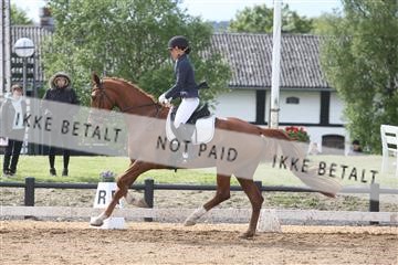 147698_nn_01_IMG_0096.JPG