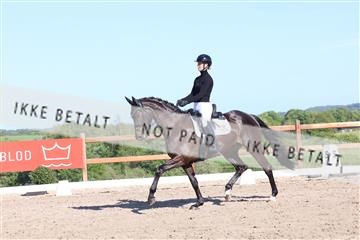 181449_bc_01R62_6154.JPG
