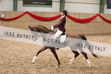 171342_mtp_01_3M5A7843.JPG