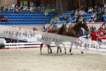 181957_mtp_08_R62_5617.JPG
