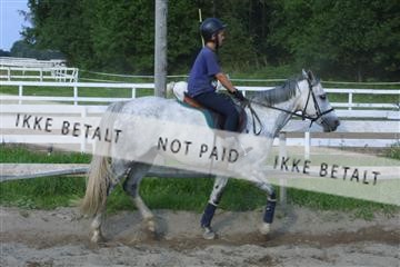 110-1038_IMG.JPG