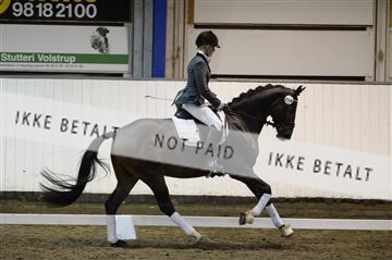 141472_abo_01__AB15812.JPG