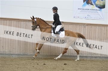 160111_nn_01__ESK1708.JPG