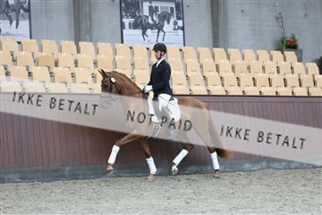 181852_mtp_04_R62_2927.JPG