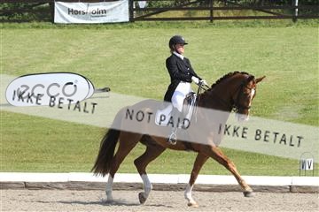 135676_sg_01_IMG_7720.JPG