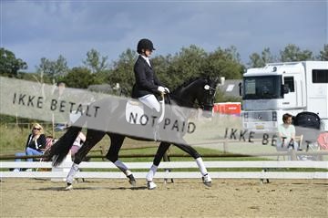 136195_abo_01__AB16241.JPG