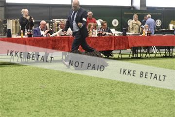 163793_bkn_01__BKN7220.JPG
