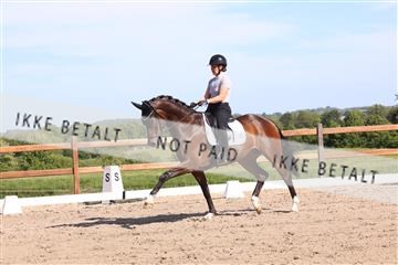 181449_bc_01R62_5996.JPG