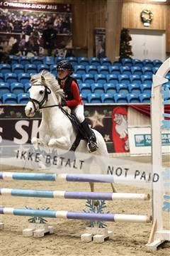 175934_avh_02_6902.JPG