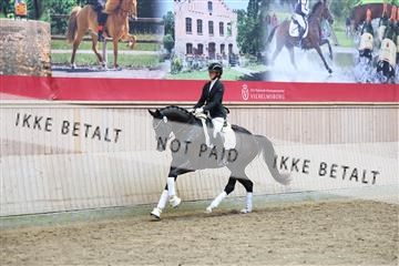 181887_mtp_04_R62_9329.JPG