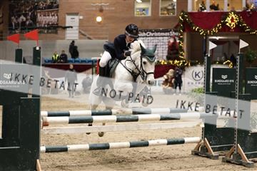 175934_avh_02_6994.JPG