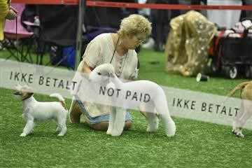 163793_bkn_01__BKN9084.JPG
