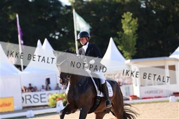 181799_BC_06_00496.JPG