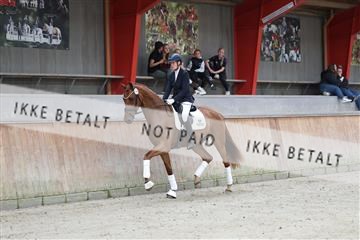 181867_mtp_02_R62_4343.JPG