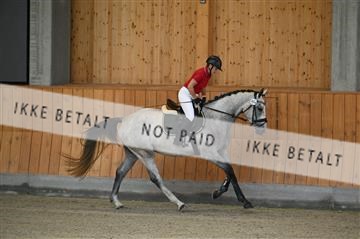 181595_kbb_01_Z097253.JPG