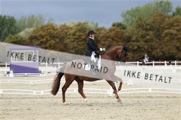 181923_mtp_03_R62_7334.JPG