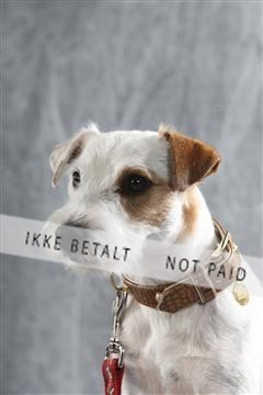 129608_le_ 02_0044.JPG