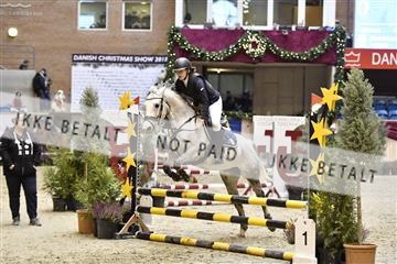161006_abo_01__D050688.JPG