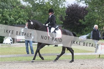 135518_ms_01_IMG_1907.JPG