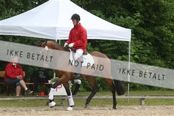 135518_ms_01_IMG_0957.JPG