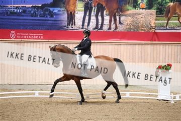 174186_kbb_01_R6II4585.JPG