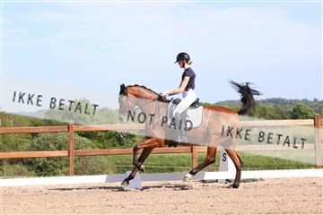 181449_bc_01R62_5938.JPG