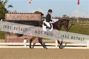 148862_sg_01_IMG_2324.JPG