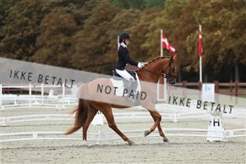 181923_mtp_02_R62_7080.JPG