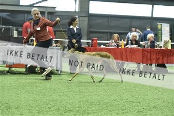 163793_bkn_01__BKN9357.JPG
