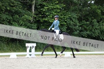 172073_mtp_01_3M5A3079.JPG
