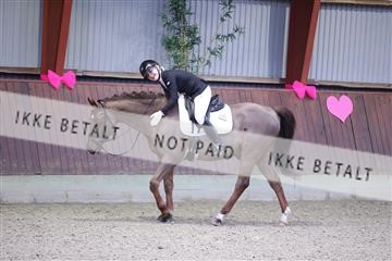 173883_mtp_01_3M5A9834.JPG