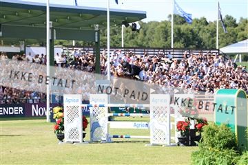 181726_mlm_02_R62_9334.JPG