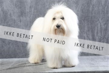 129608_le_ 01_0294.JPG