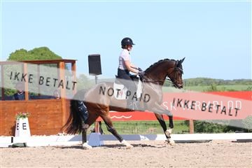 181449_bc_01R62_6013.JPG